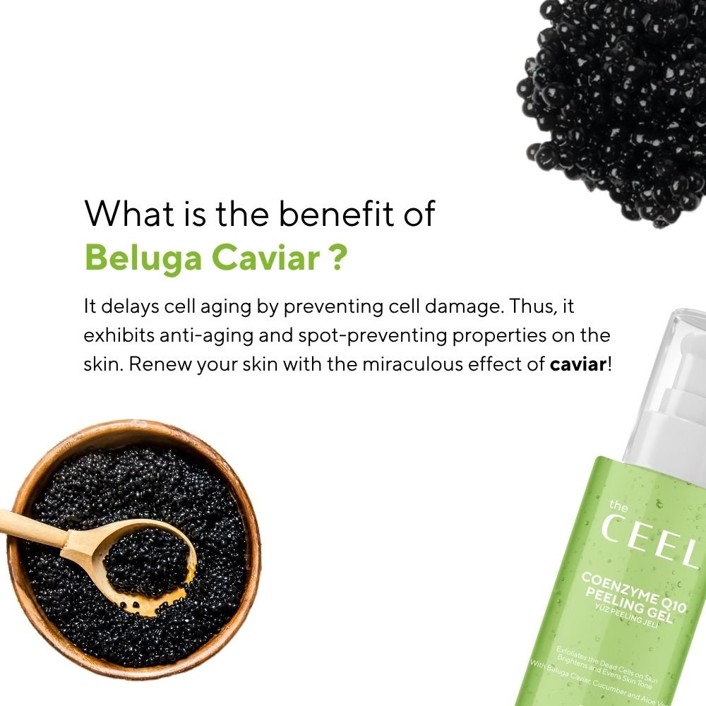 Ceel Coenzyme Peeling Gel - 100ml - Exfoliation & Dead Skin Removal With Beluga Caviar, Cucumber and Aloevera - Ceel AU