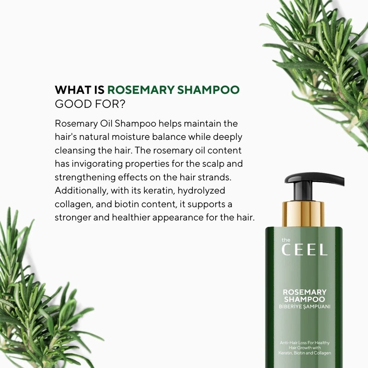 Ceel Rosemary Shampoo - 250ml – For Clean, Fresh - Looking Hair - Ceel AU